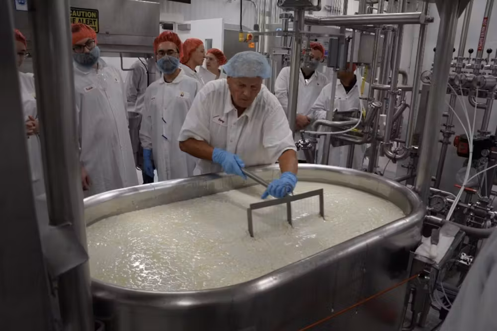 Visite fromagerie